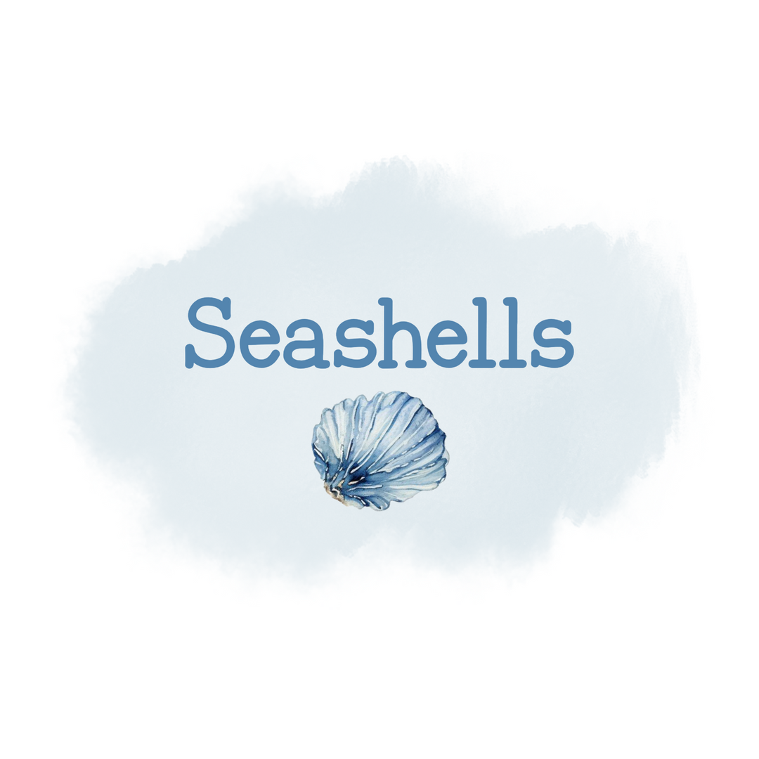 273 - Seashells