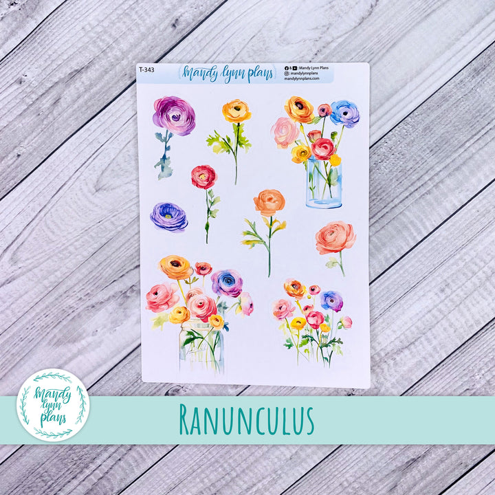 Ranunculus Large Deco || T-343