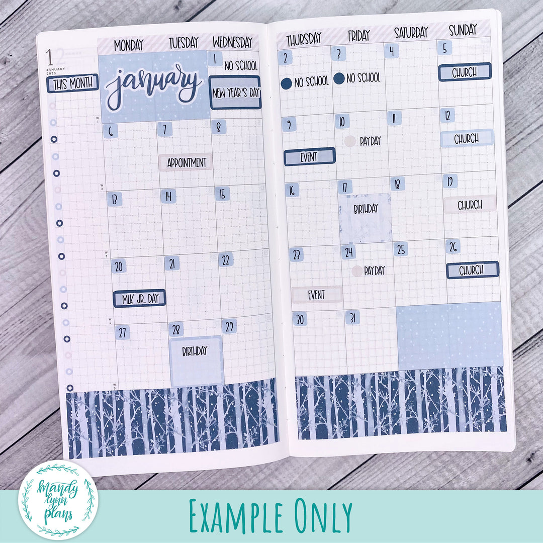 January 2025 Common Planner Monthly Kit || New Year's Party || 295
