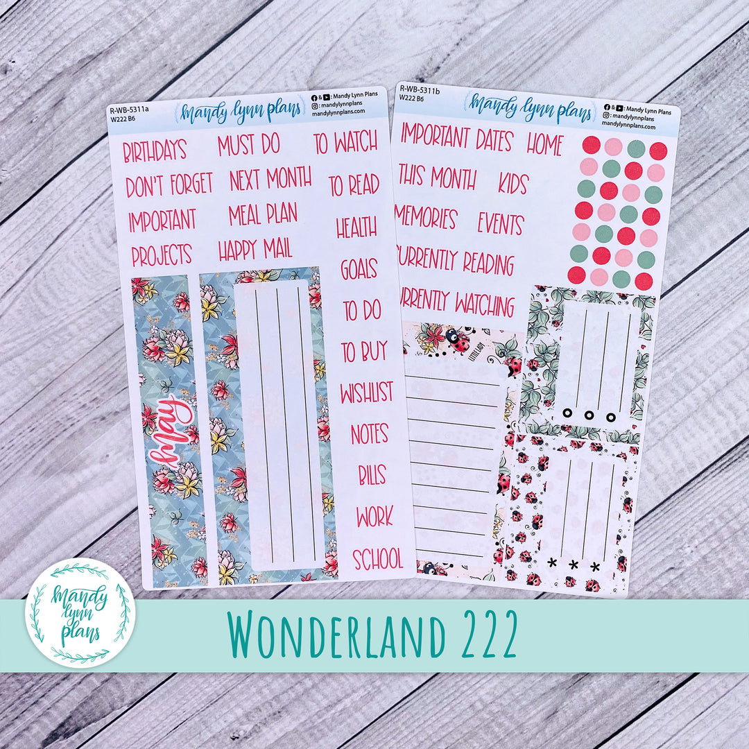 May 2025 Wonderland 222 Dashboard || Ladybugs || 311