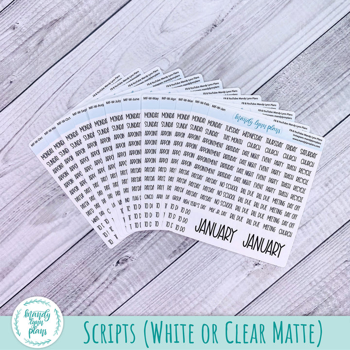 Whole Year Bundle || 3 Design Options || 12 Any Month Kits || Hobonichi Weeks