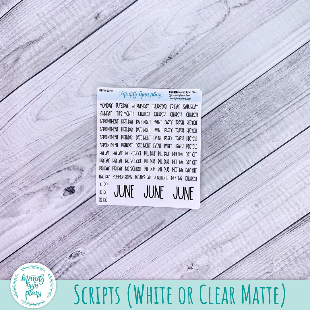 Hobonichi Weeks June 2025 Monthly Kit || Peony Blooms || MK-W-2316