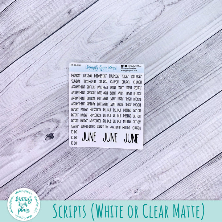 Hobonichi Weeks June 2025 Monthly Kit || Peony Blooms || MK-W-2316