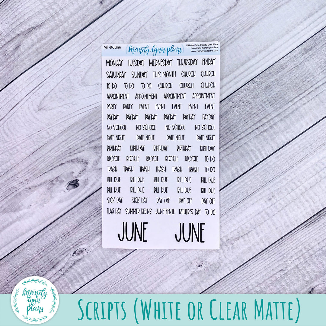 June 2025 Common Planner Monthly Kit || Sweetest Day || 318