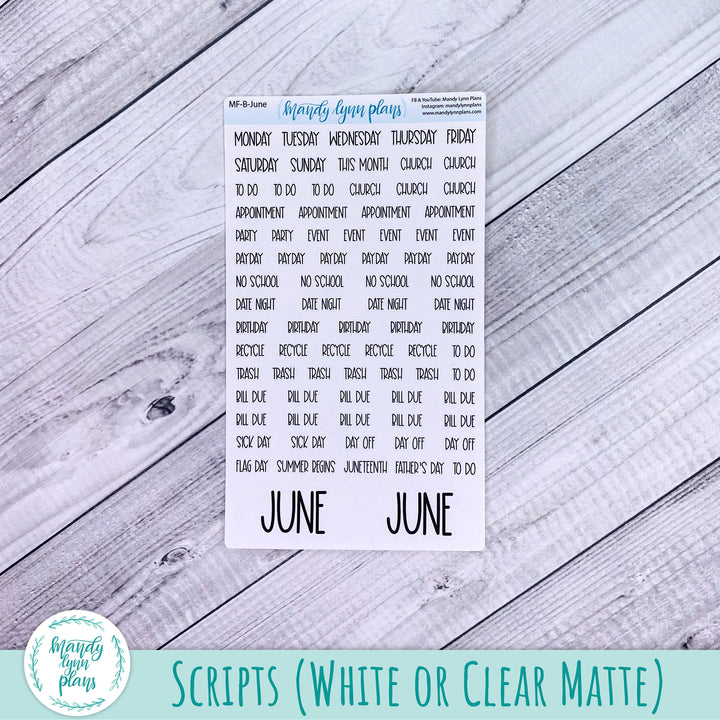 June 2025 Common Planner Monthly Kit || Sweetest Day || 318