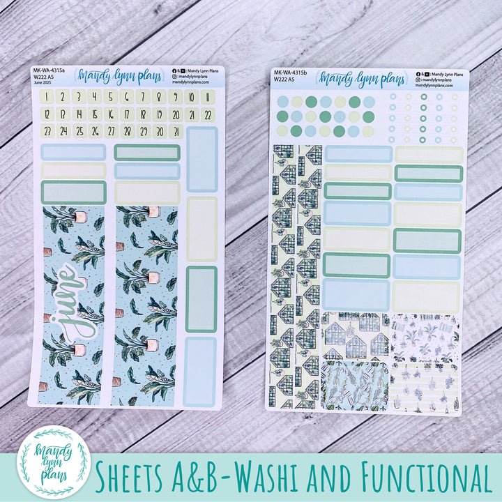 Wonderland 222 June 2025 Monthly Kit || Green Thumb || 315