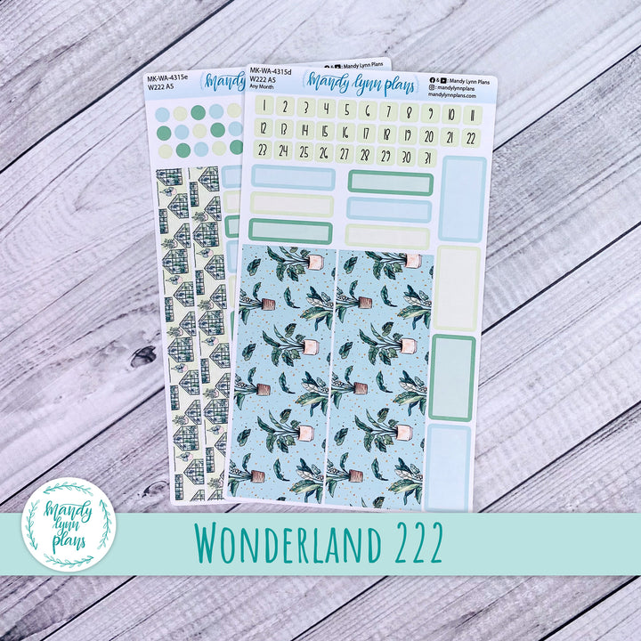 2025 Any Month Wonderland 222 Monthly Kit || Green Thumb || 315
