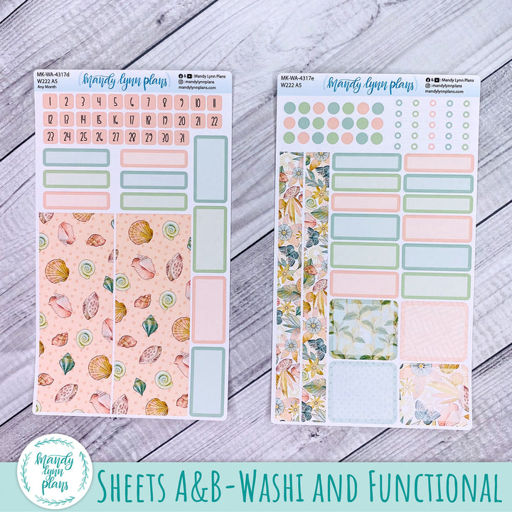 2025 Any Month Wonderland 222 Monthly Kit || Beach Life || 317