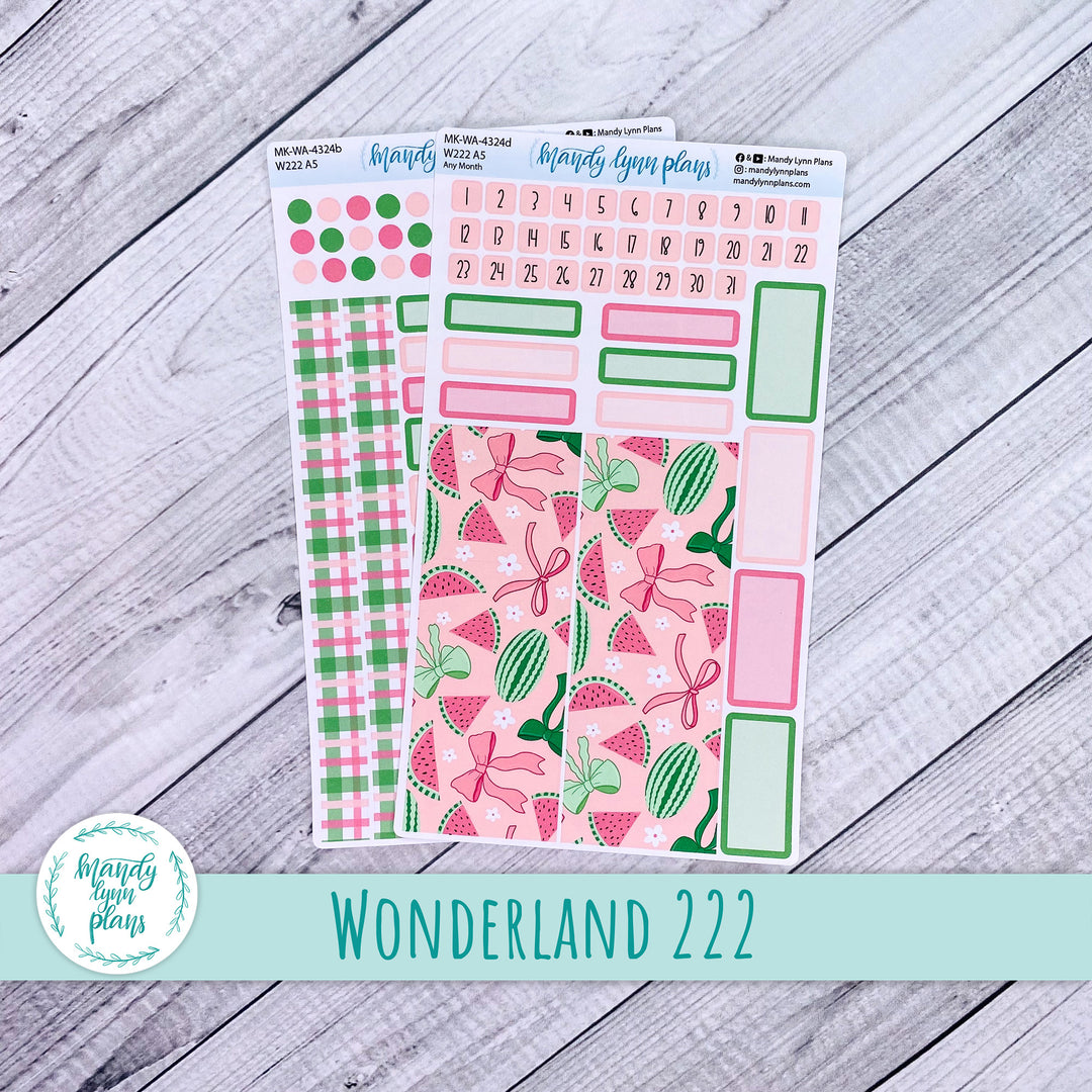 2025 Any Month Wonderland 222 Monthly Kit || Watermelons || 324