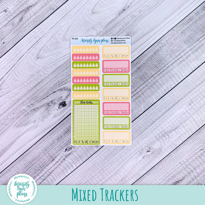 Gladiolus Add-Ons || 268