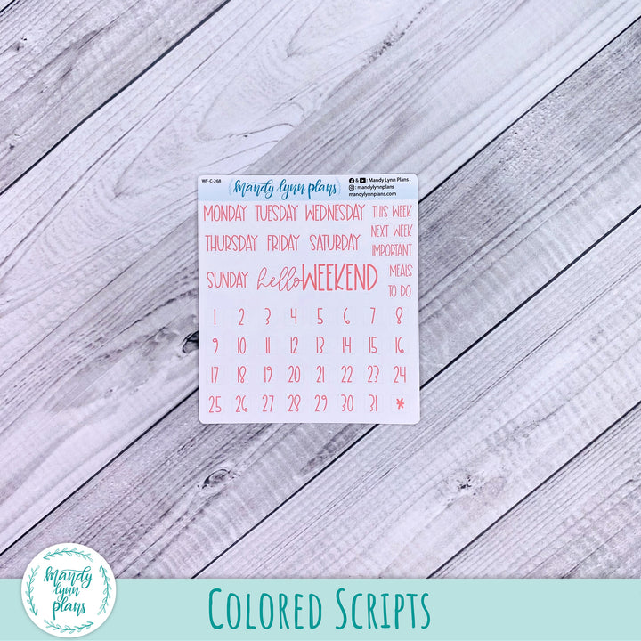 Gladiolus Add-Ons || 268