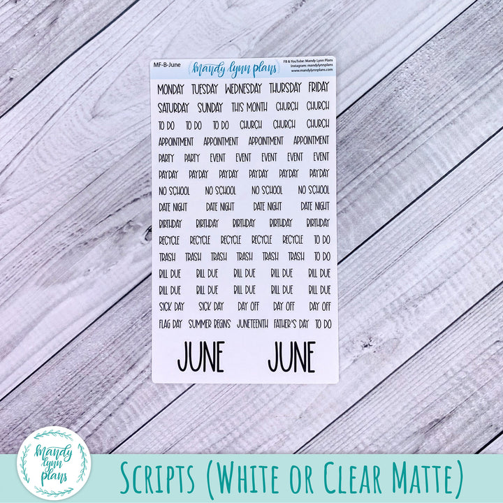 June 2024 Common Planner Monthly Kit || Peonies || 269