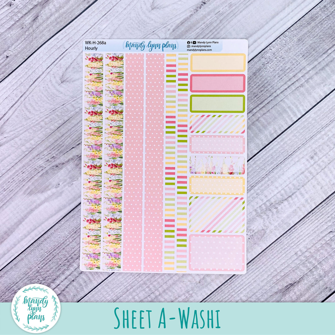 EC Hourly Weekly Kit || Gladiolus || WK-H-268