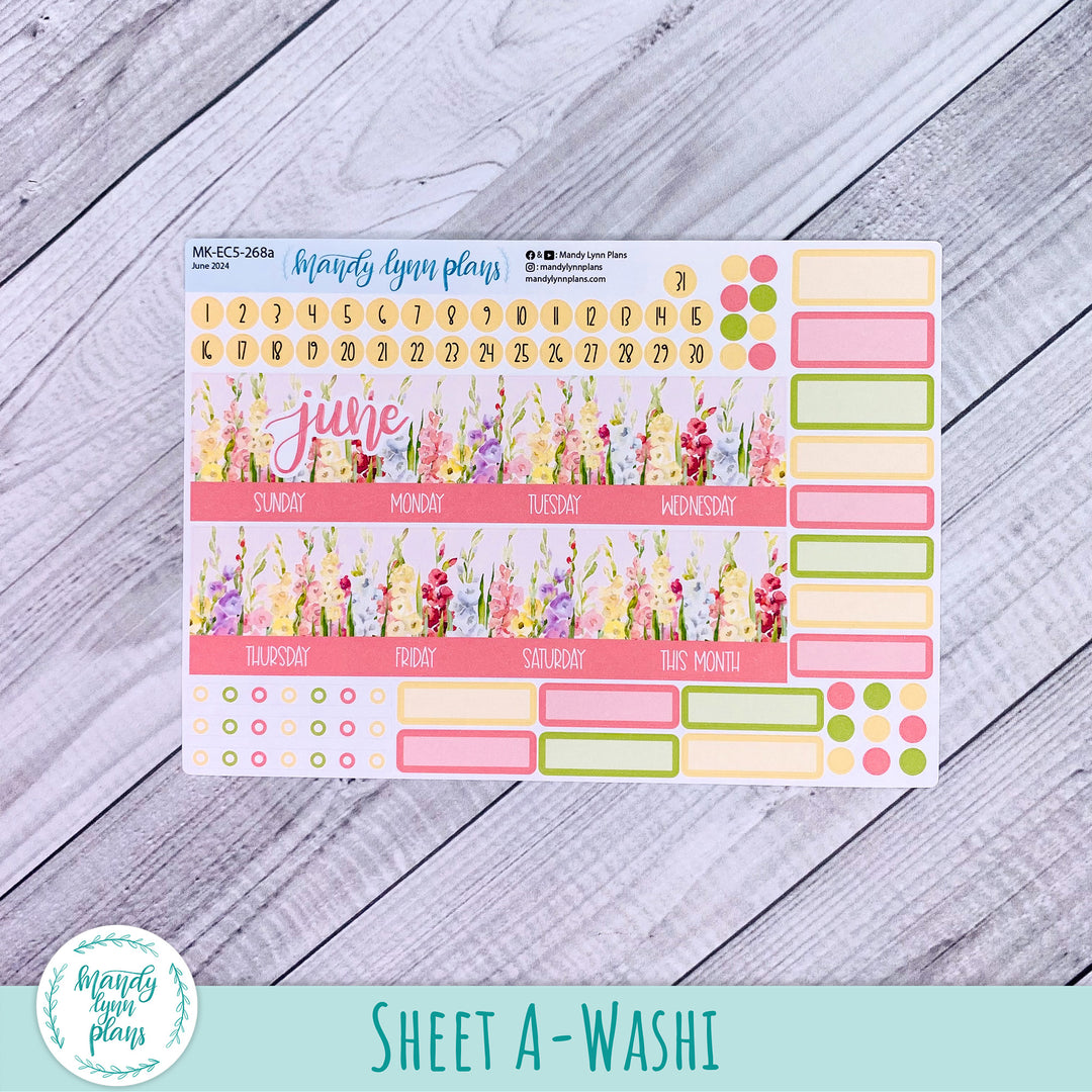 EC A5 June Monthly Kit || Gladiolus || MK-EC5-268