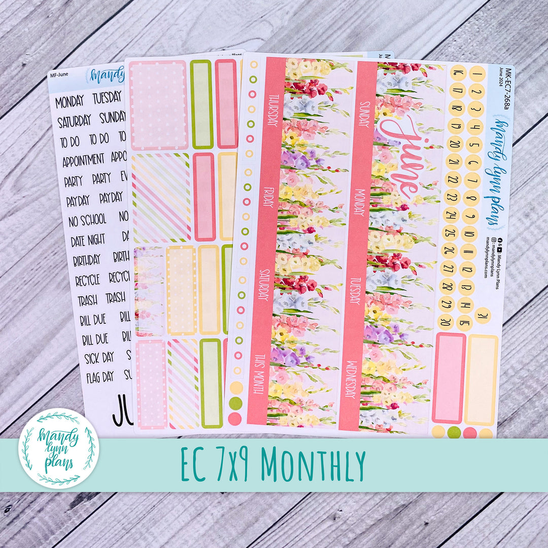 EC 7x9 June Monthly Kit || Gladiolus || MK-EC7-268