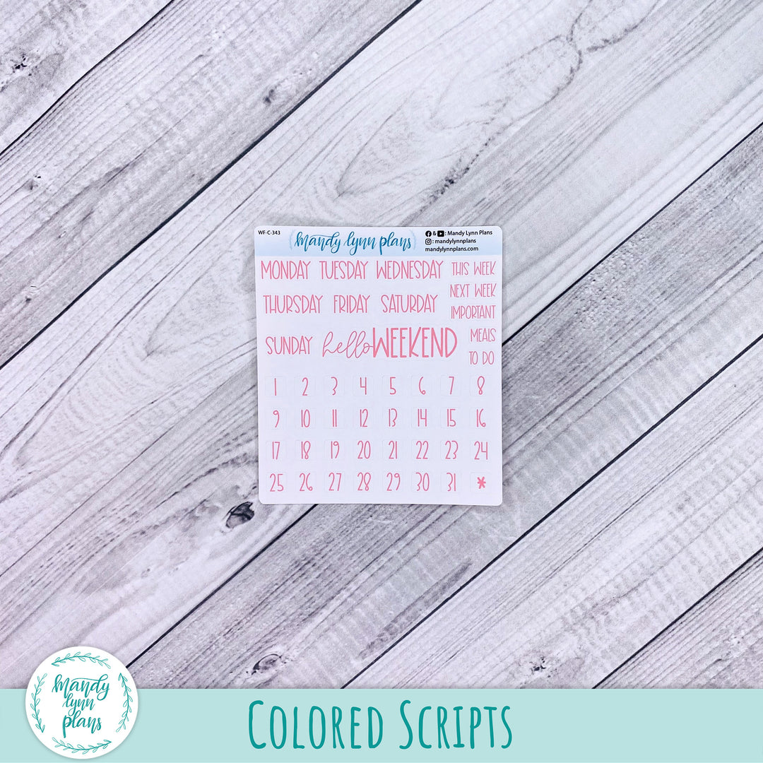 Ranunculus Add-Ons || 343