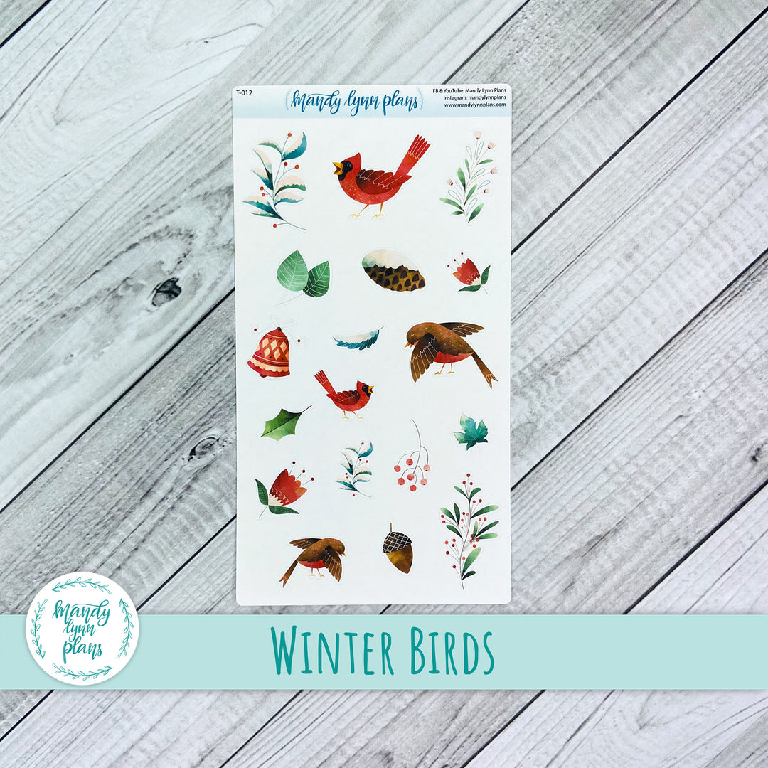 Winter Birds Doodles || T-012