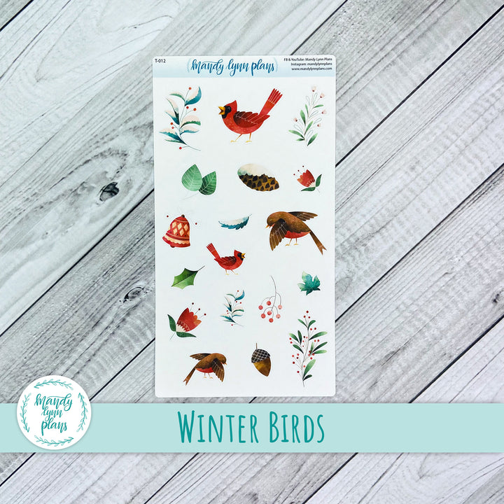 Winter Birds Doodles || T-012