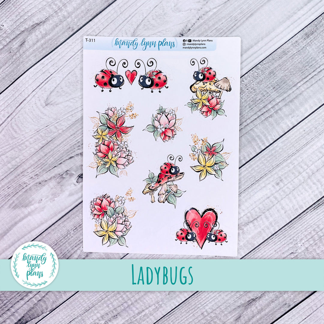 Ladybugs Deco || T-311