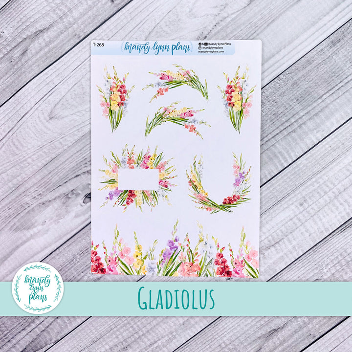 Gladiolus Deco || T-268