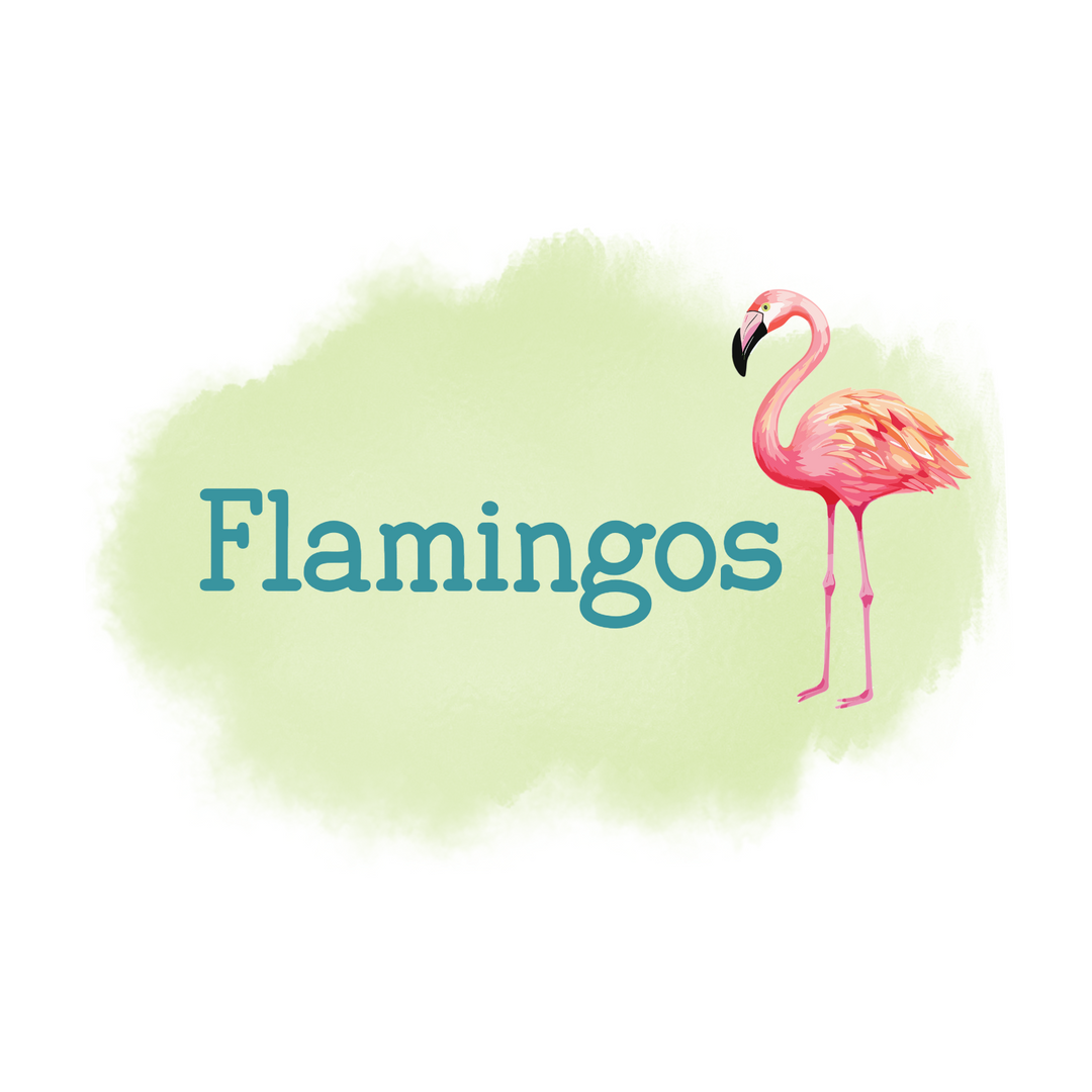 275-Flamingos