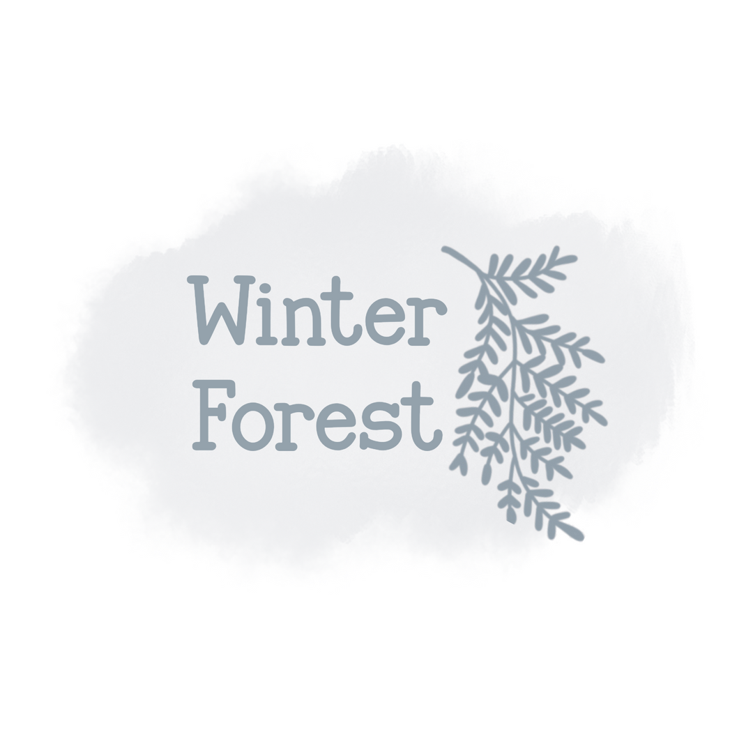 296-Winter Forest