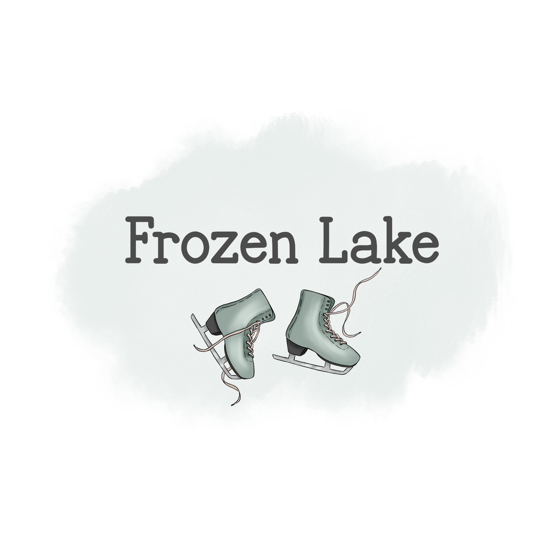 293-Frozen Lake