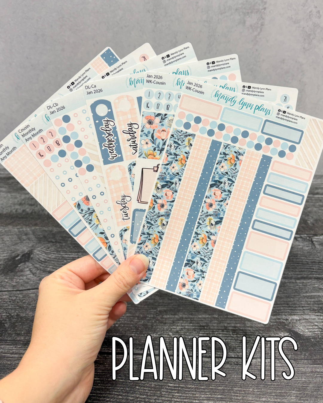 MLP Subscription Box (Common Planner)