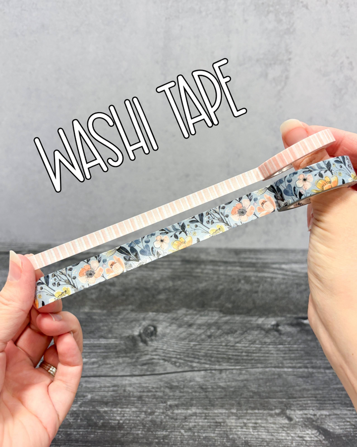 MLP Subscription Box (Common Planner)