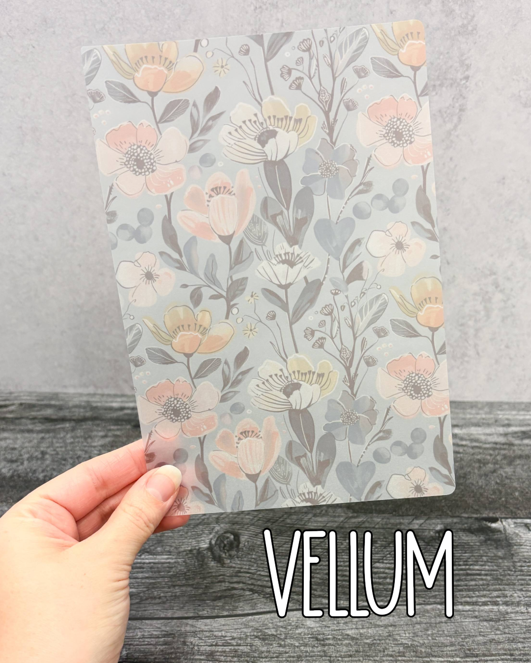 MLP Subscription Box (Common Planner)