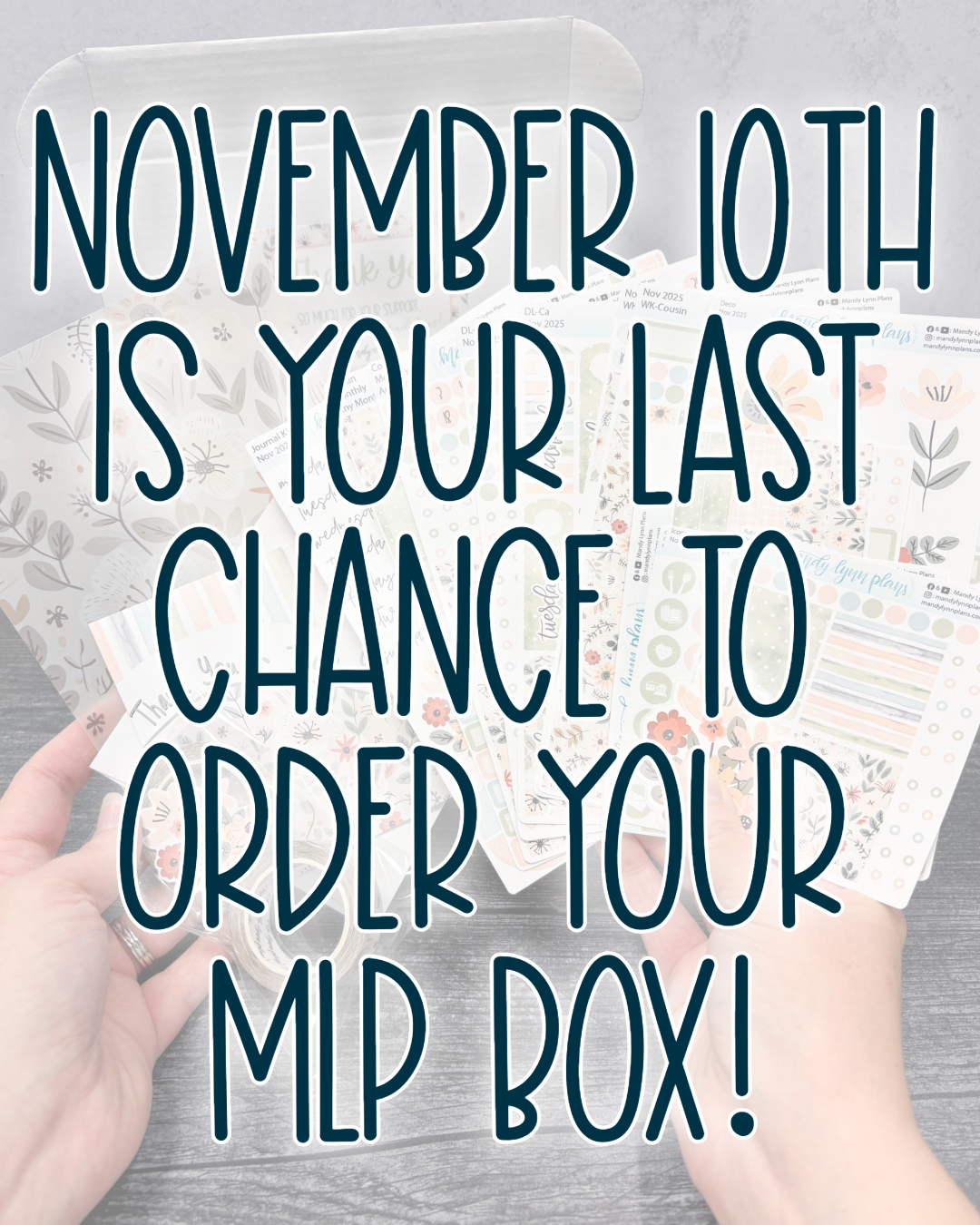 MLP Subscription Box (Common Planner)