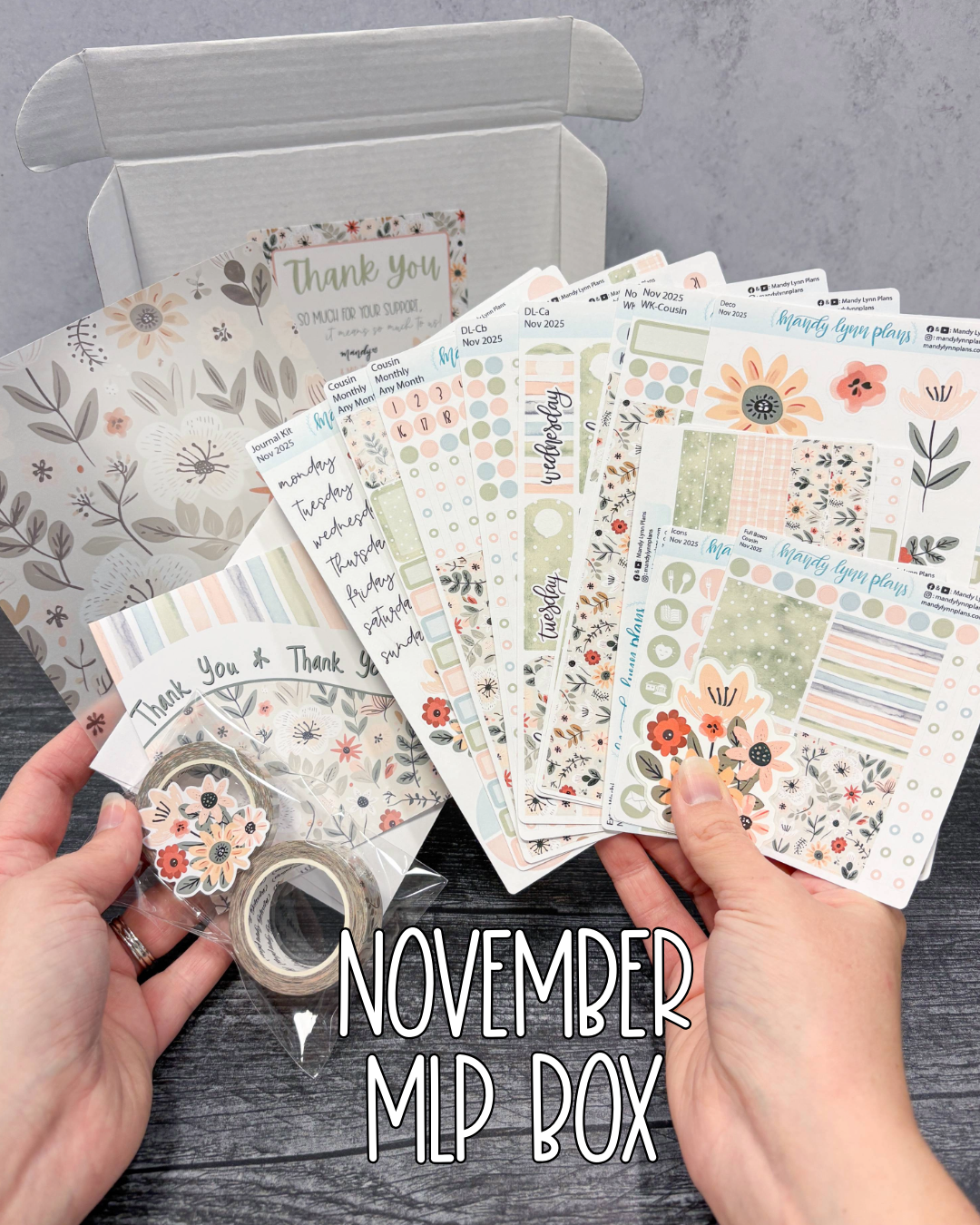 MLP Subscription Box (Common Planner)