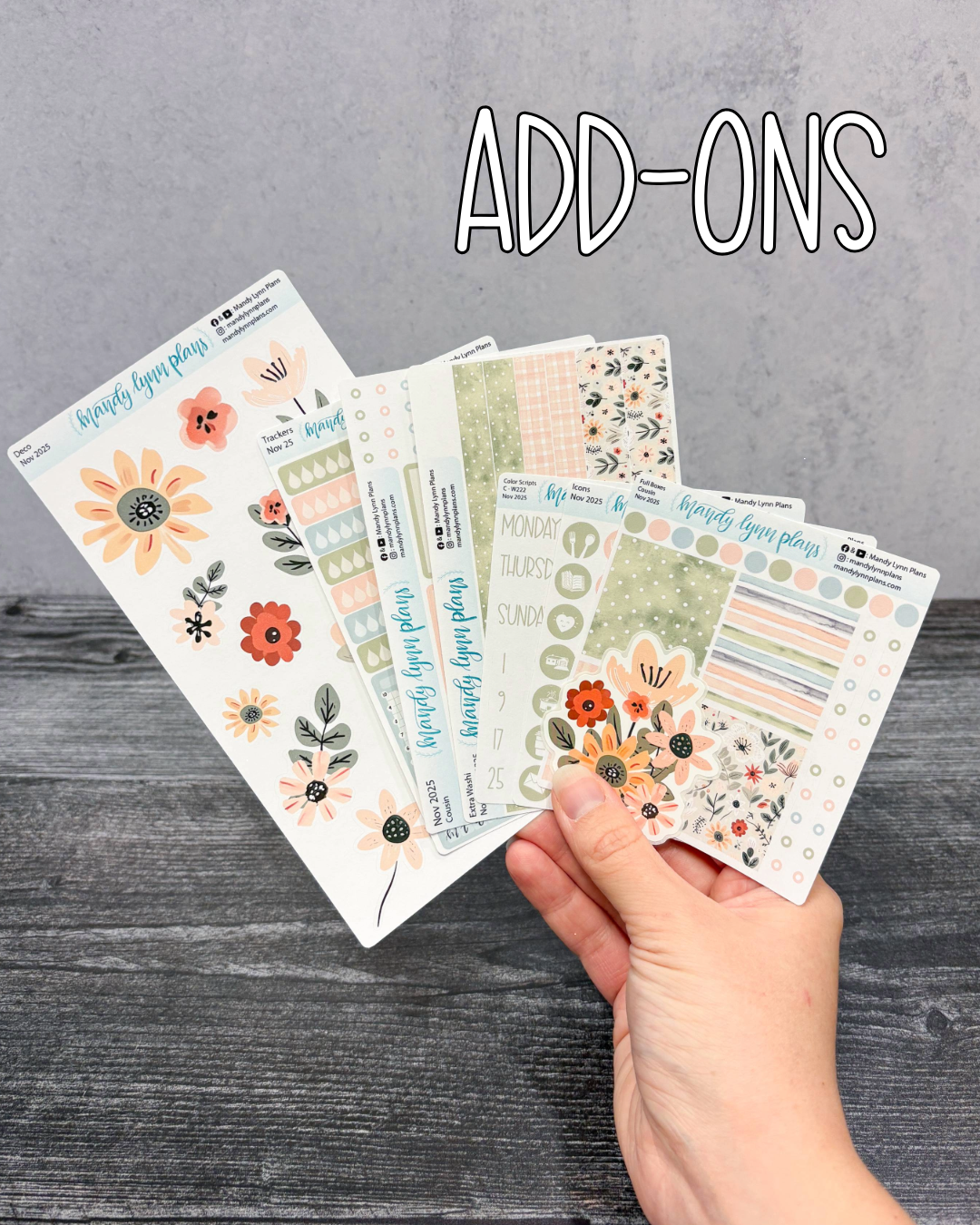 MLP Subscription Box (Common Planner)