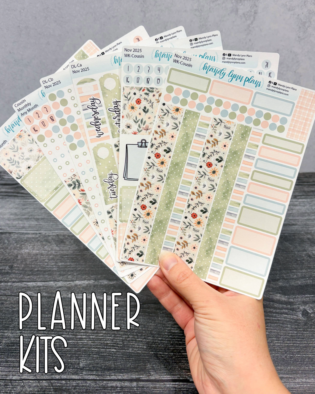 MLP Subscription Box (Common Planner)