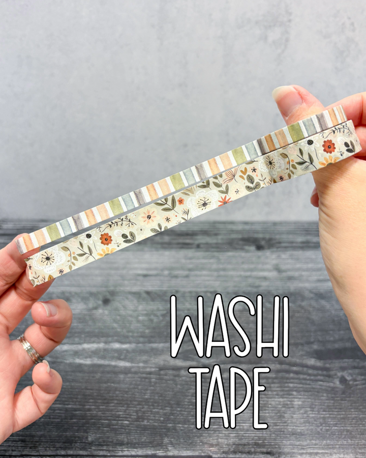 MLP Subscription Box (Common Planner)