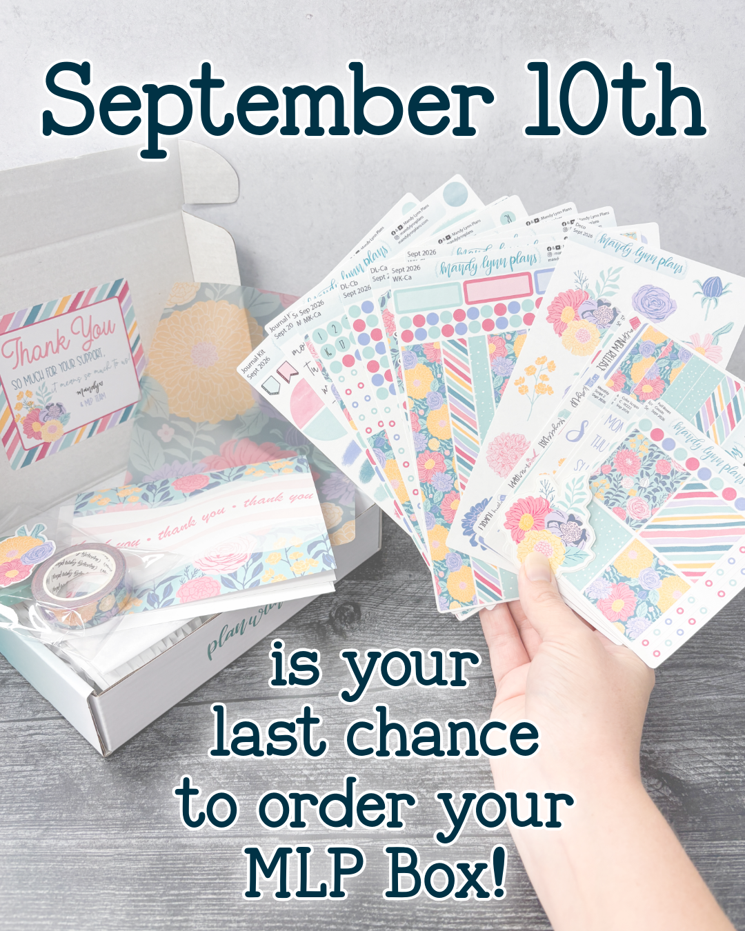 Subscription Items