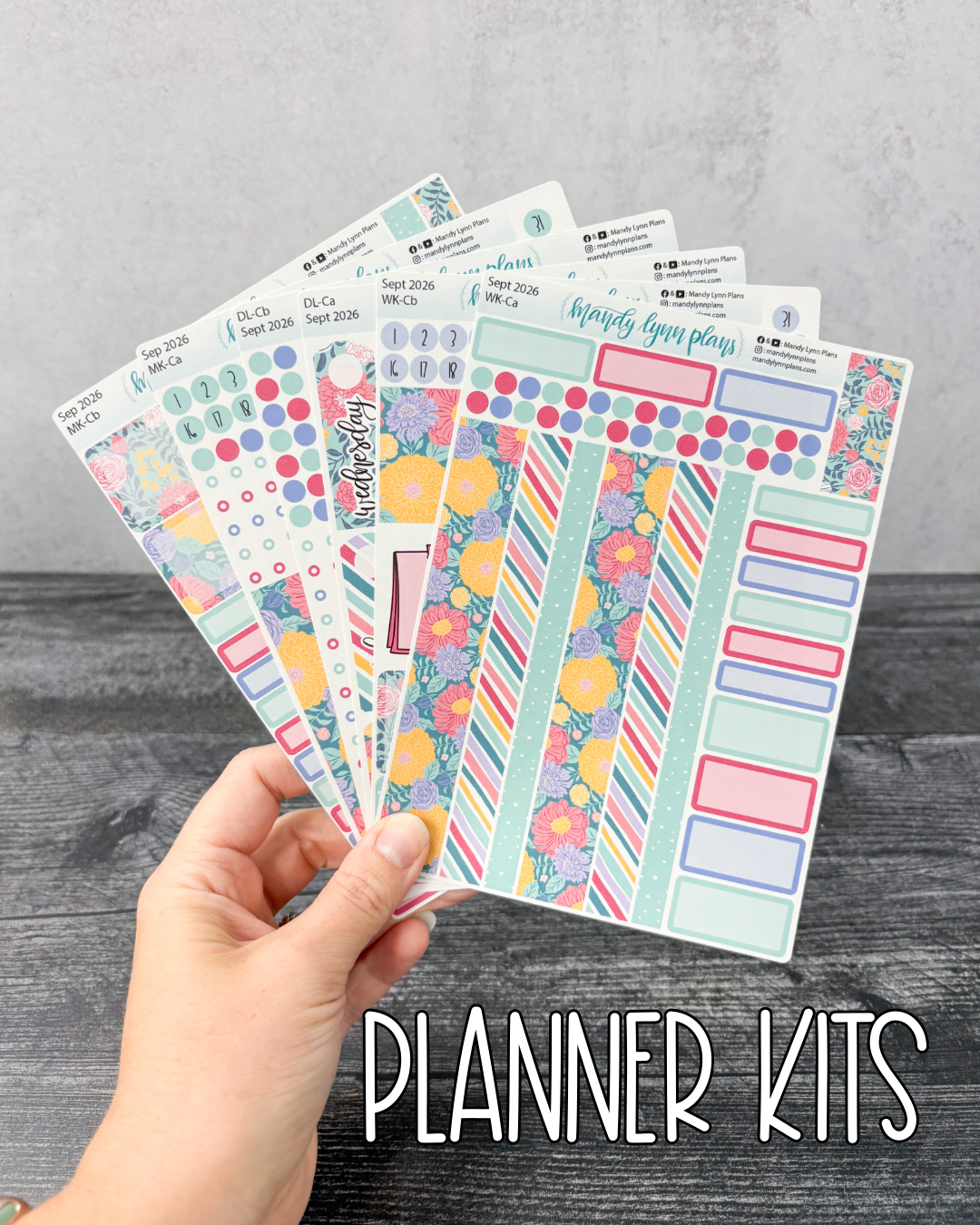 MLP Subscription Box (Common Planner)