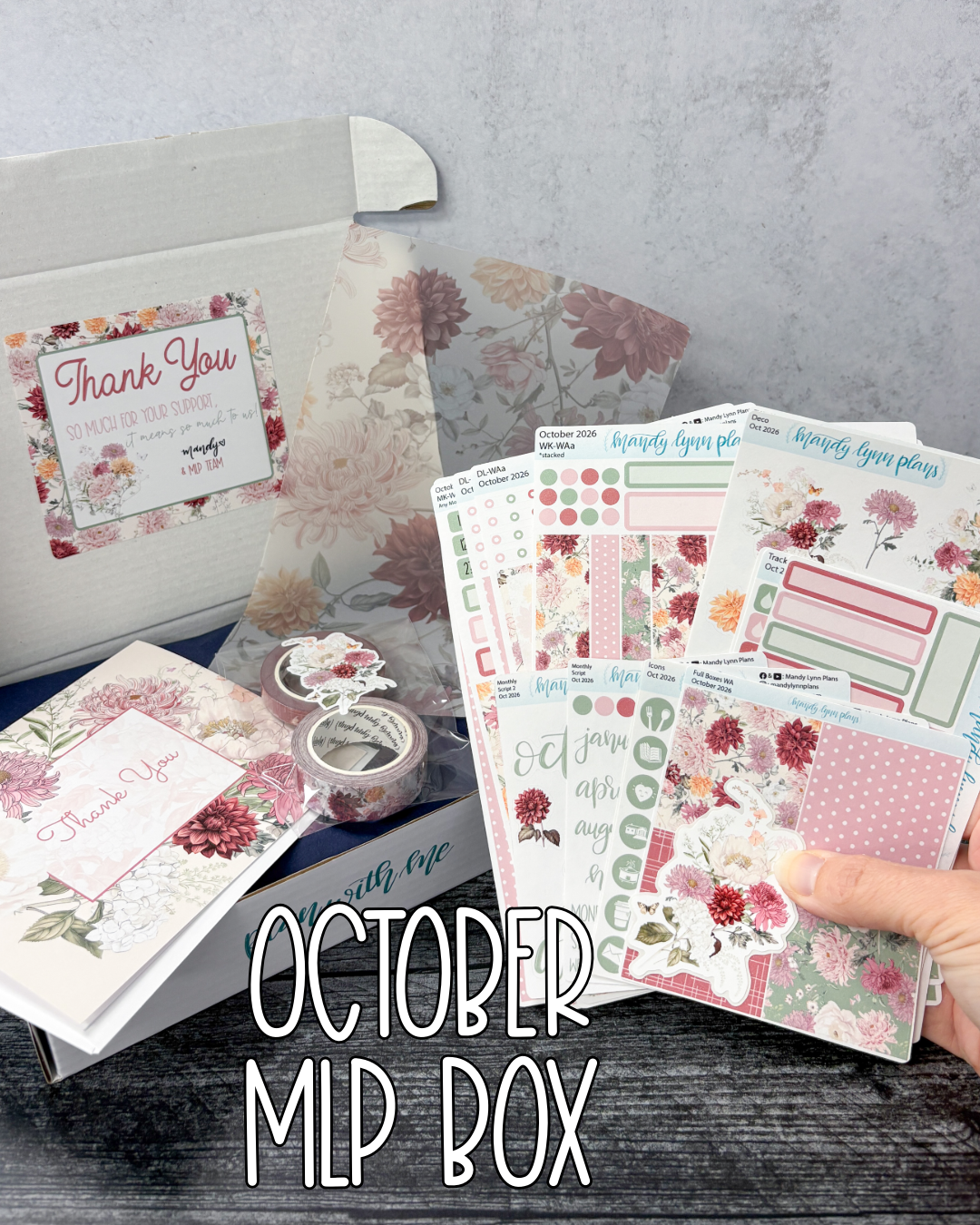 MLP Subscription Box (Hobonichi)