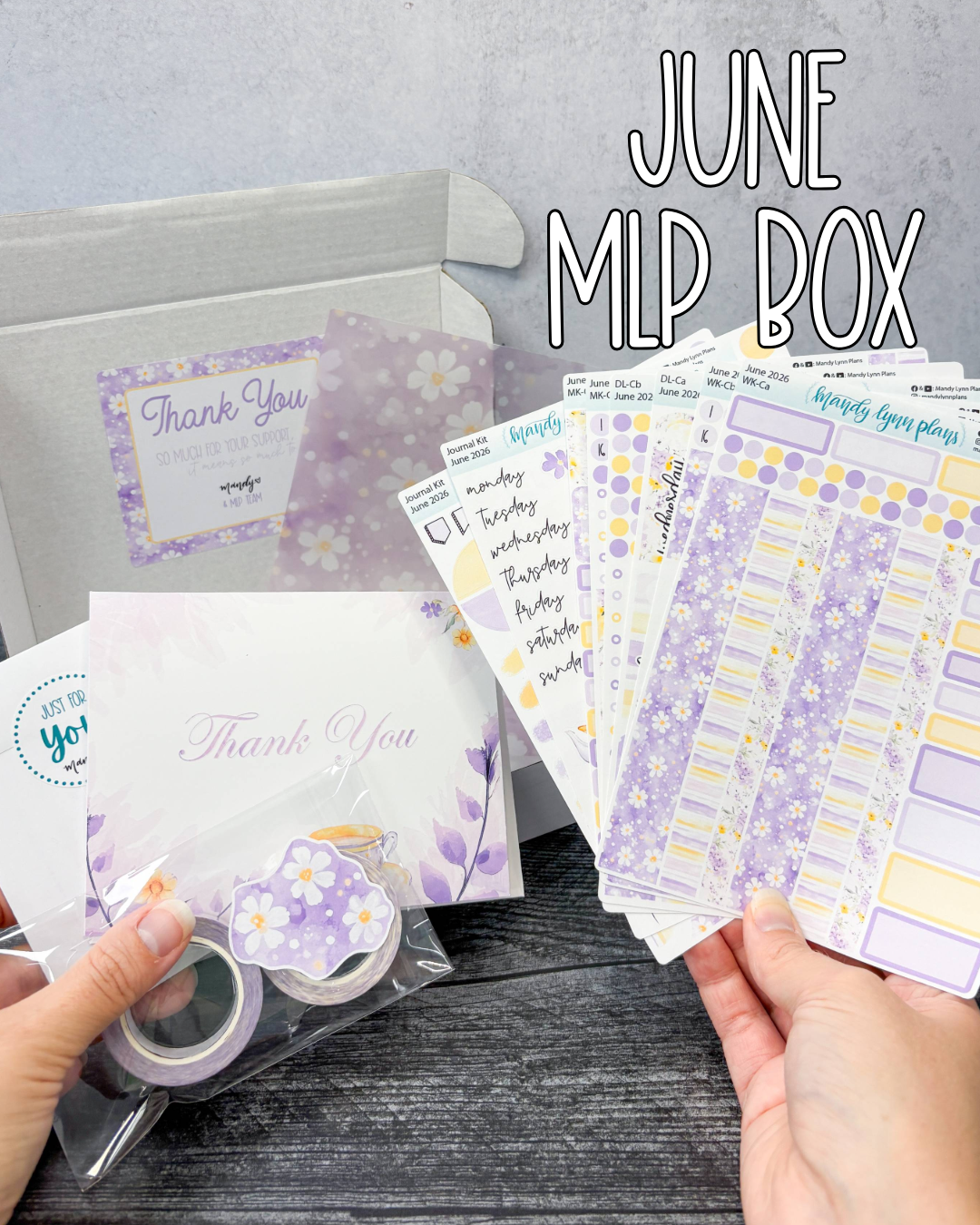 MLP Subscription Box (Hobonichi)