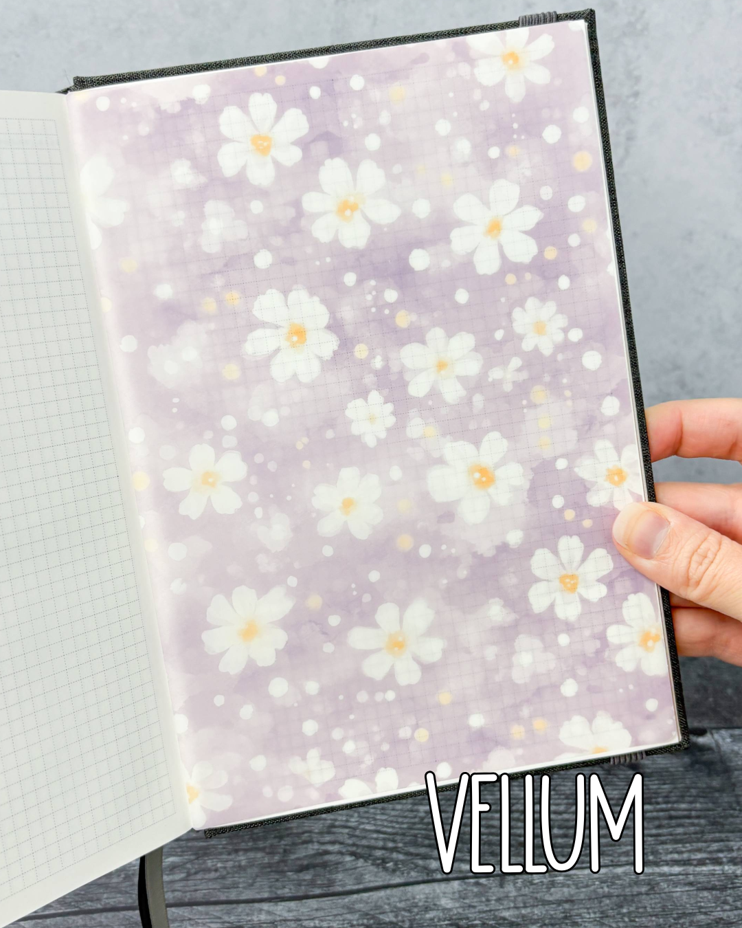 MLP Subscription Box (Hobonichi)