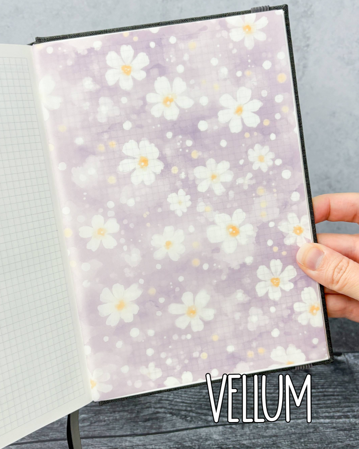 MLP Subscription Box (Hobonichi)