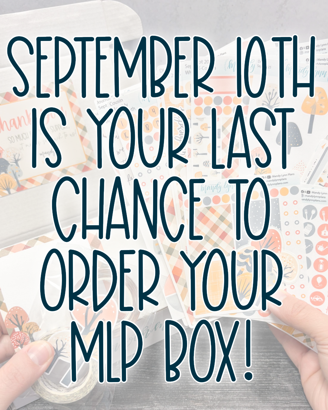 Subscription Items