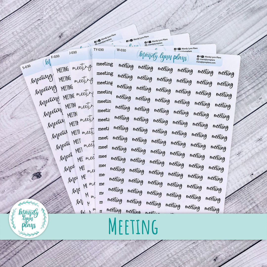 Meeting Scripts || 030