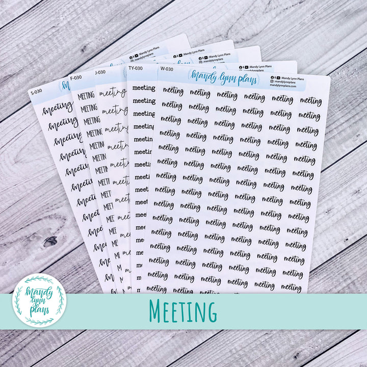Meeting Scripts || 030