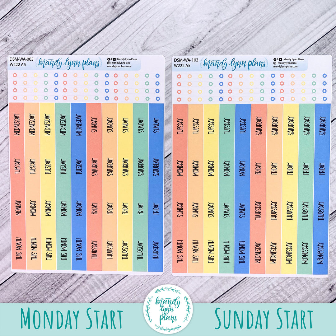 Updated 2025 Sunday or Monday Start Wonderland 222 Monthly Day Date Cover Strips