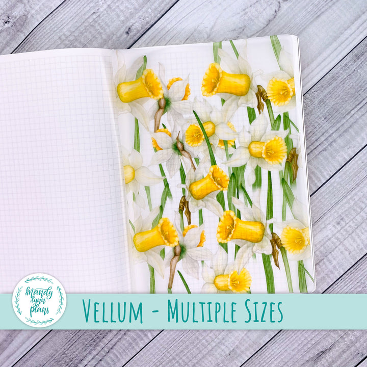 Daffodils Vellum || 303