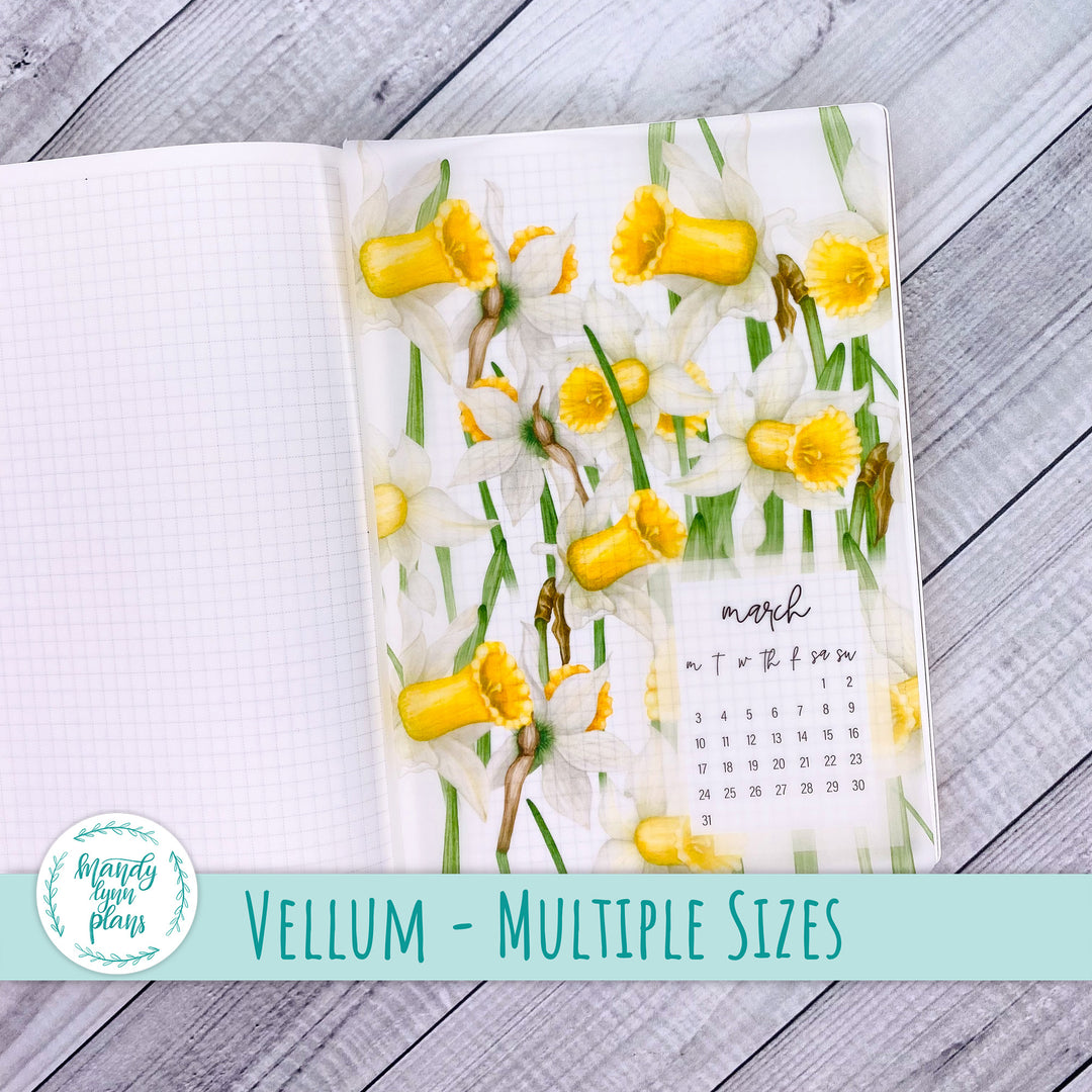 Daffodils Vellum || 303