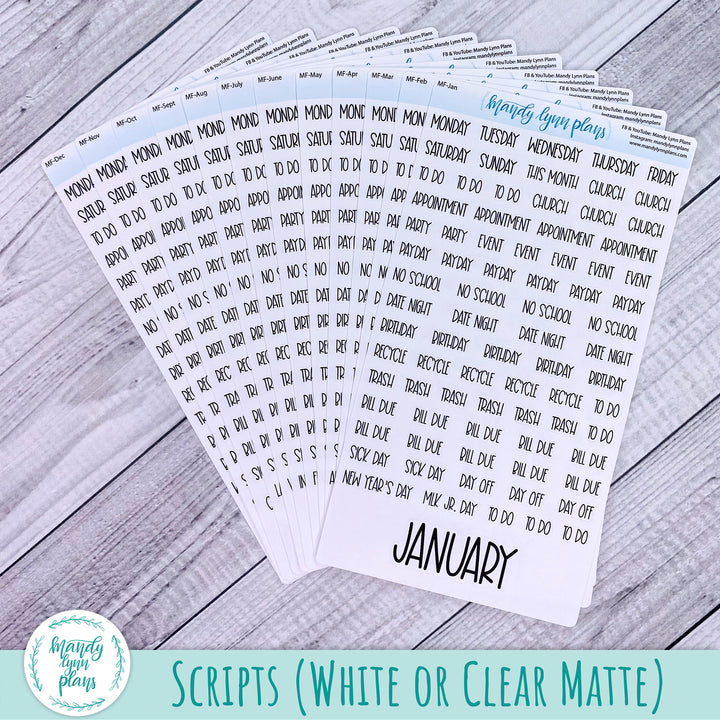 Whole Year Bundle || 3 Design Options || 12 Any Month Kits || B6 Common Planner