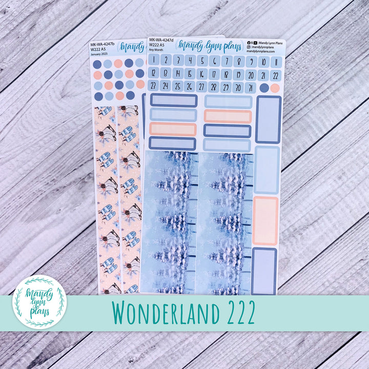 2024 Any Month Wonderland 222 Monthly Kit || Cozy Winter || 247