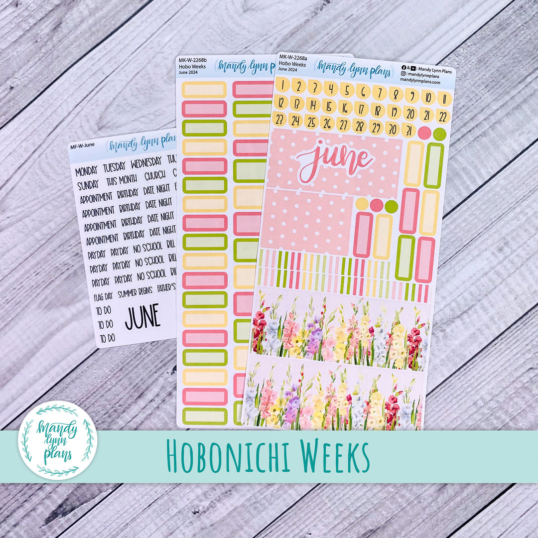 Hobonichi Weeks June 2024 Monthly Kit || Gladiolus || MK-W-2268